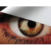 Easy Deur Sticker 215 cm x 90 cm